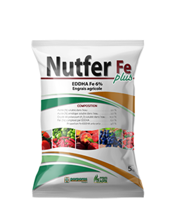 Nutfer Fe Porporas